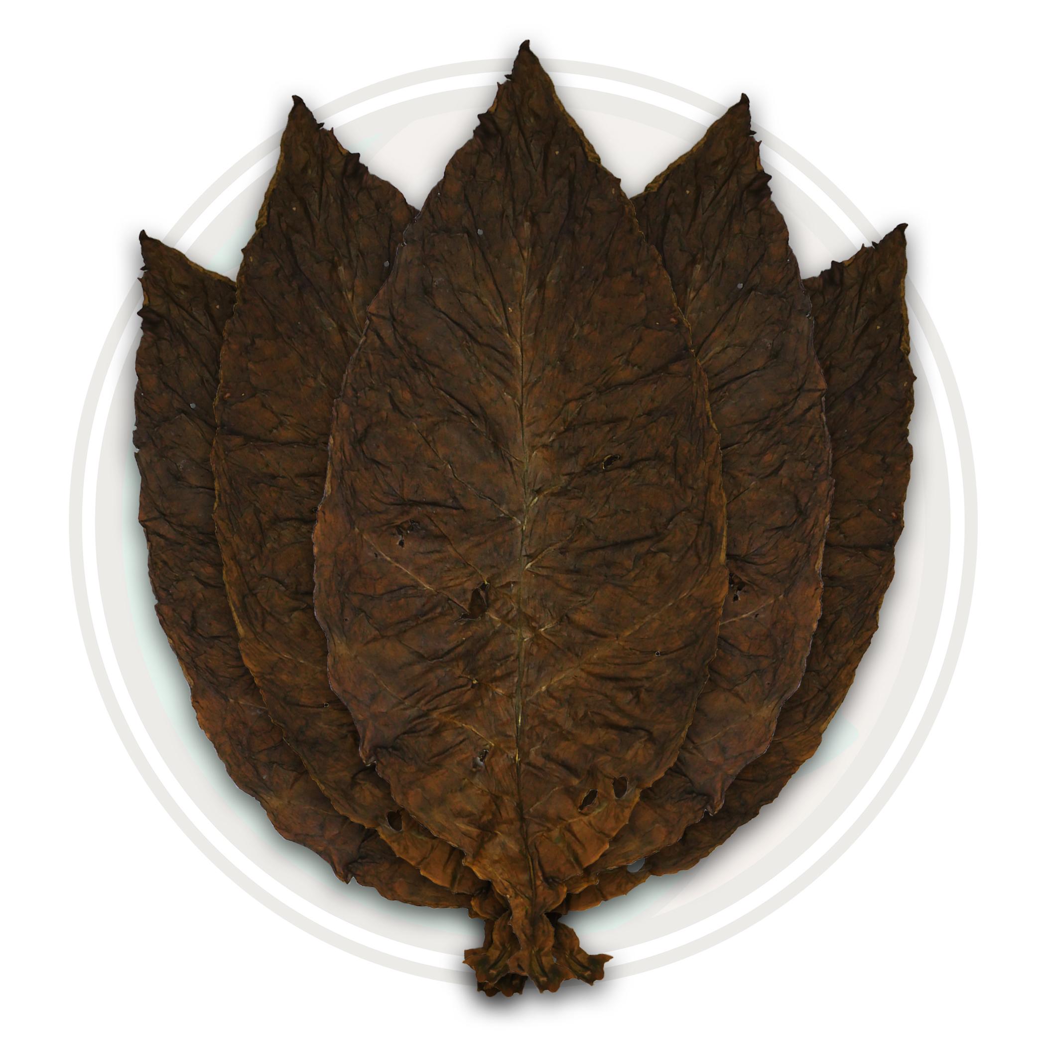 Aged Dark Air Cured Tobacco Leaf Aged Dark Air Cured Tobacco Leaf